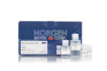 48200 RNA/Protein Purification Plus Kit ( 50 rxn )